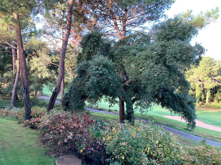 Vue Golf Dans Residence Nature "Sympalappart" Moliets-et-Maa Exterior photo